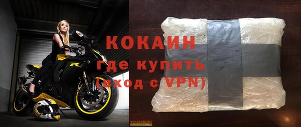 дживик Белокуриха