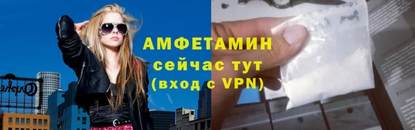 молекула духа Богородск