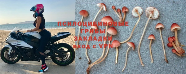молекула духа Богородск