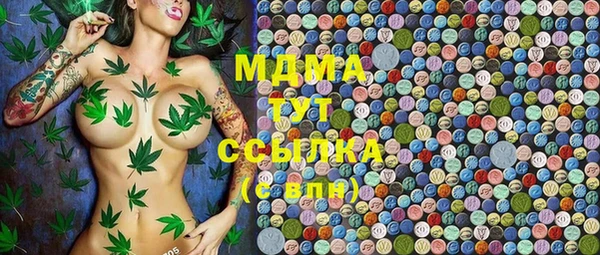 дживик Белокуриха