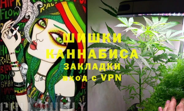 молекула духа Богородск