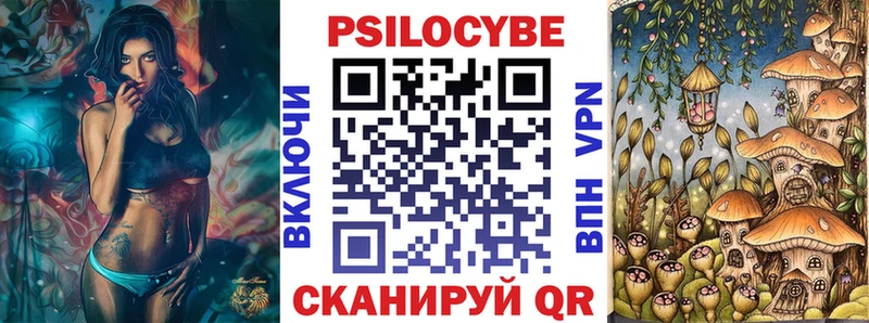 это состав  как найти   Малмыж  Псилоцибиновые грибы Cubensis 